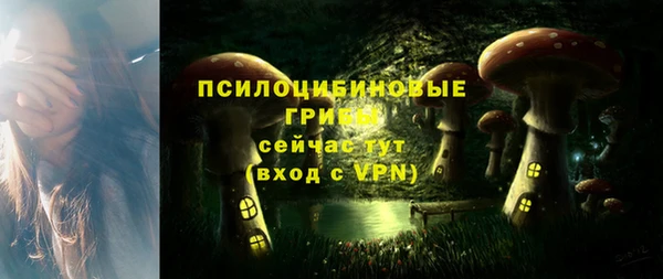 мяу мяу кристалл Елизово