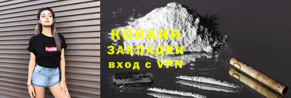 амф Ельня