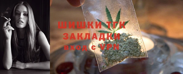 амф Ельня