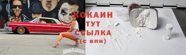 амф Ельня