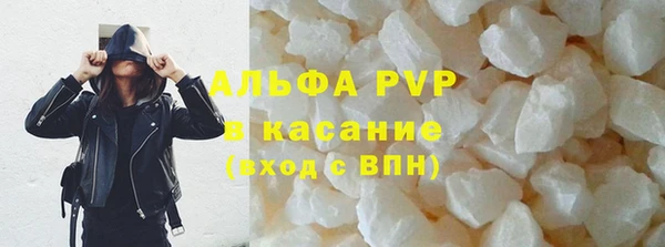 амф Ельня