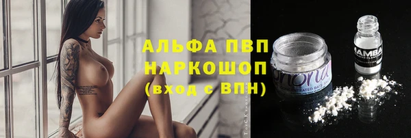 амф Ельня