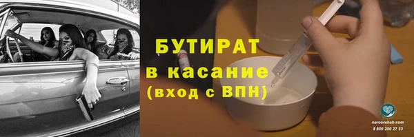 амф Ельня