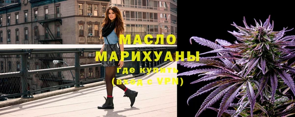 дмт Елабуга
