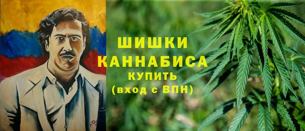 дмт Елабуга