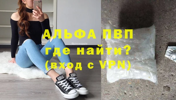 амф Ельня