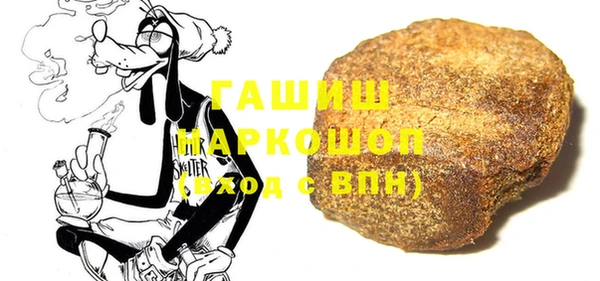 амф Ельня