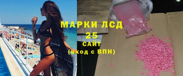 амф Ельня