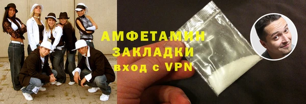 амф Ельня
