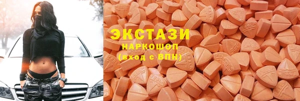 амф Ельня